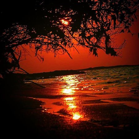 Fulhadhoo Inn Екстериор снимка